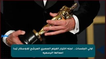 أولى الجلسات.. لجنة اختيار الفيلم المصري المرشح للأوسكار تبدأ أعمالها الرسمية